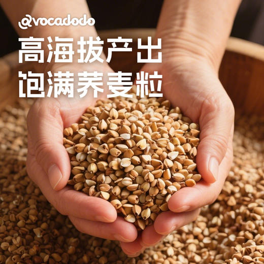 Avocadodo纯荞麦粉面粉无小麦麸质低脂杂粮糖友敏宝牛油果果桥本 商品图1