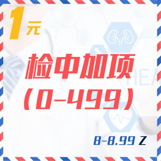 检中加项（0-499  8-8.99Z） 商品图0
