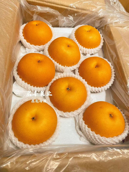 宏丰精选 秋月梨 脆甜爽口 水分很足，活动价12.8元一斤 商品图6