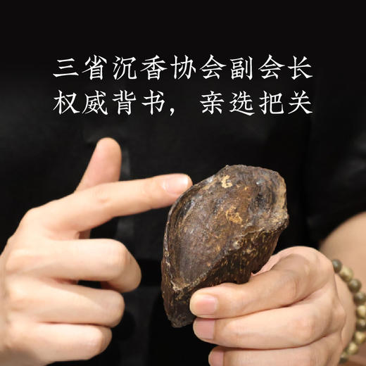 高品沉香手串，东方美人的老钱风！甄选top级沉香原料，权威背书，独树一帜的传统、新中式风格 商品图1