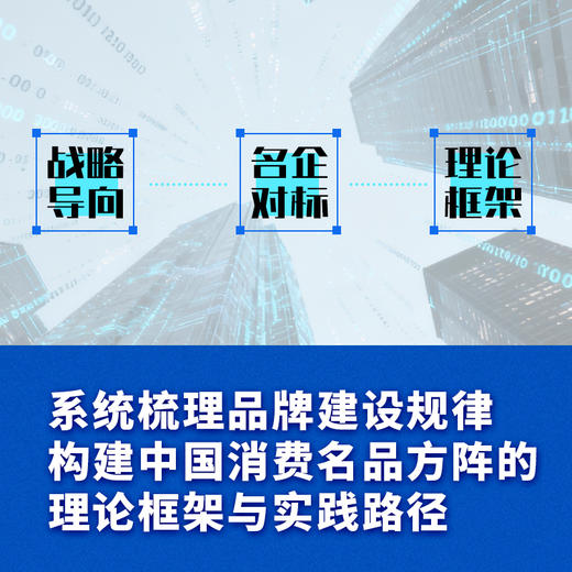 数字经济时代的新质生产力：变革逻辑与培育方略 数字经济新质生产力理论实践政策研究书籍 商品图2