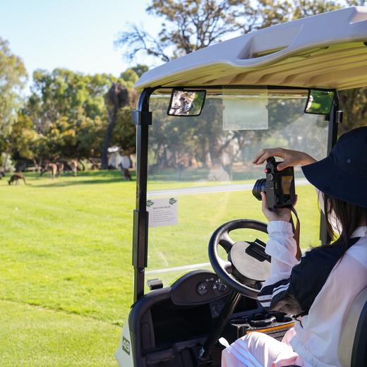 放空西澳，世界尽头城市里粉红色野性浪漫【不孤独】 9天8晚 商品图3