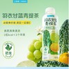二次方羽衣甘蓝青提茶500ml 商品缩略图0