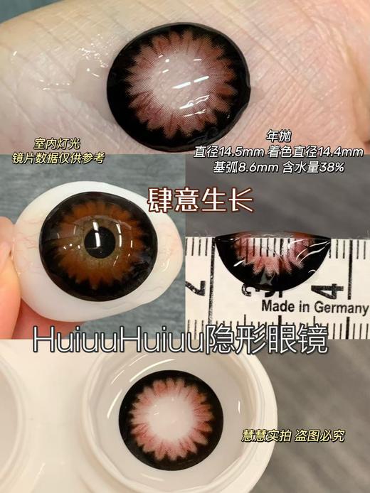 【大直径年抛】混血新品-Sheepcon-向阳而生/北极以北/肆意生长-14.5mm【年抛 0-1000度 含525/575】 商品图4