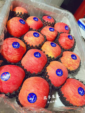 【宏丰精选】灵宝雪艳苹果，皮薄脆甜，纯甜苹果 活动价12.8元一斤