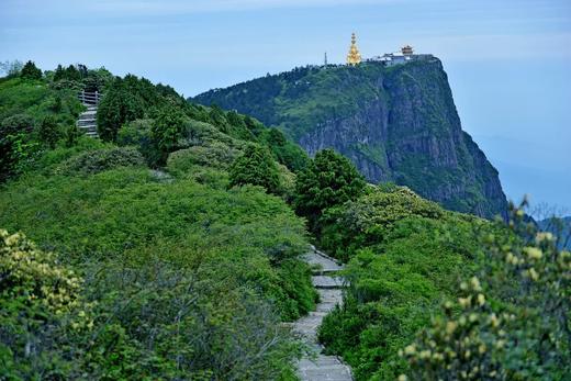 暑假开团❗️【从前有座山：峨眉山小小博物2天1晚科考营】中科院博士带队；峨眉山旗舰动物-藏酋猴观察；中英双语自然课堂；峨眉地址小勘探员；野外科考技能解锁；沉浸式山时浦小倾锐；飞拉达户外挑战 商品图1