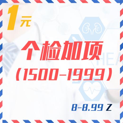 个检加项（1500-1999  8-8.99Z） 商品图0