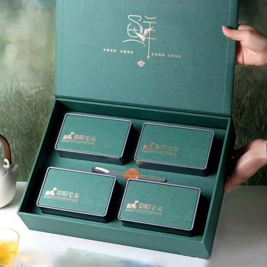 頭采限定【深绿.4听毛尖+茶勺】26元1套.整箱16套 商品图1