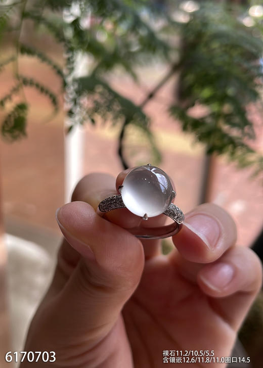 6170703，蛋面戒指。具体价格微信咨询 商品图2