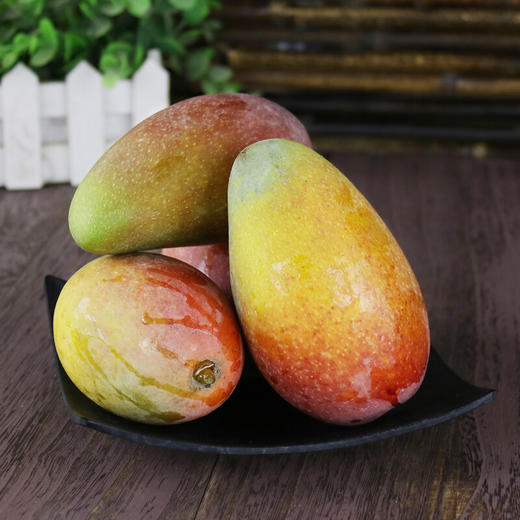 【会员17.5/斤】海南空运树熟贵妃芒芒果 商品图6