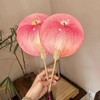 【夏日清凉❗️创意水果扇】仿真苹果造型萌趣十足，轻便不压手，竹柄流苏国风感，夏日纳凉神器，随身携带便携手摇扇家用高颜值学生L 商品缩略图2