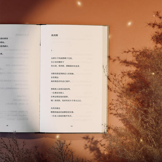 在夜的金枝与星辰下：特拉克尔诗全集 商品图5