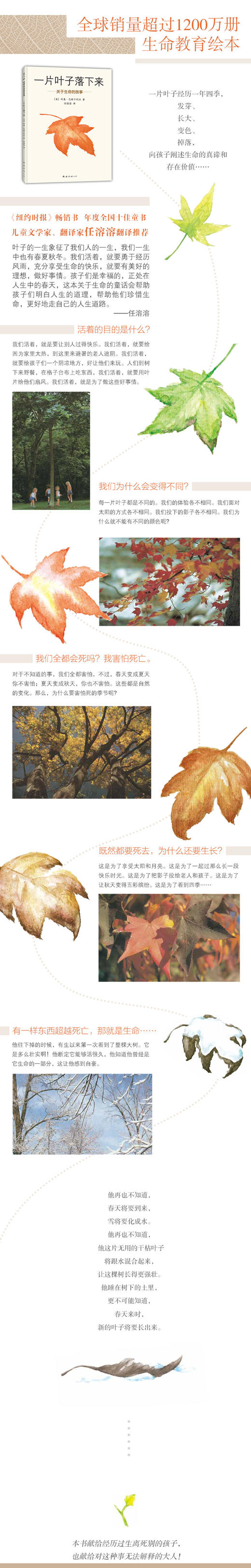 一片叶子落下来 商品图1