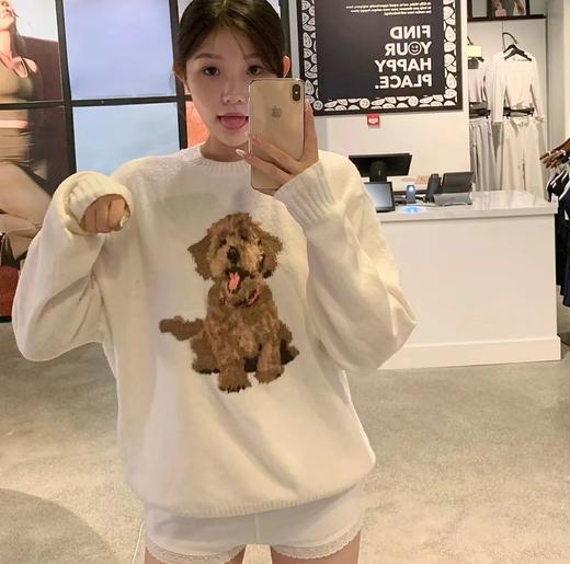 F032041春季新款男女同款提花金毛小狗圆领针织长袖毛衣 商品图6