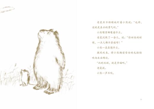 想飞的熊 佐野洋子 商品图2