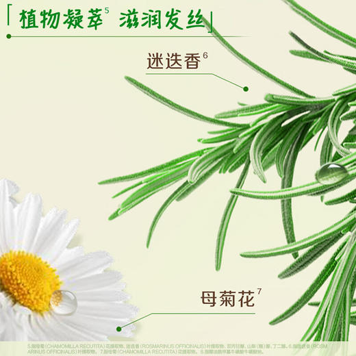 资生堂惠润 无硅油温和护发洗发水绿野/鲜花洗发露 600ml/瓶（新包装） 商品图3