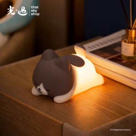 小奥拍拍灯 商品图9