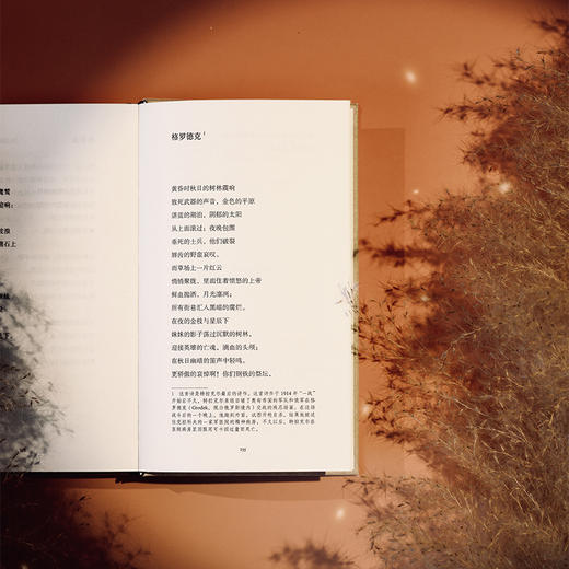 在夜的金枝与星辰下：特拉克尔诗全集 商品图6