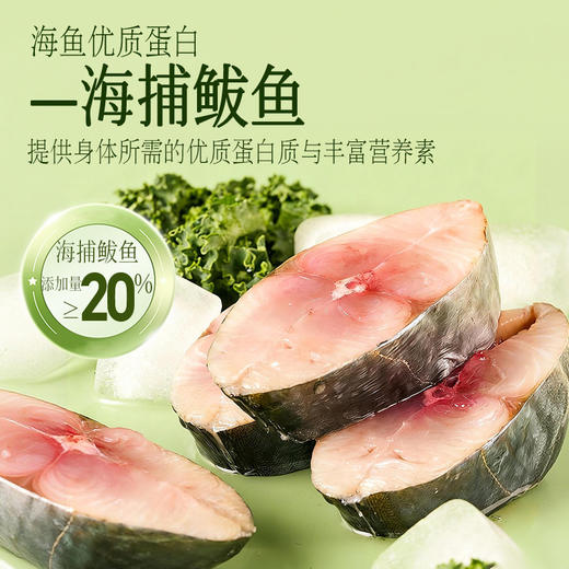 船歌鱼水饺羽衣甘蓝鲅鱼水饺冷冻早餐营养手工包制 商品图2