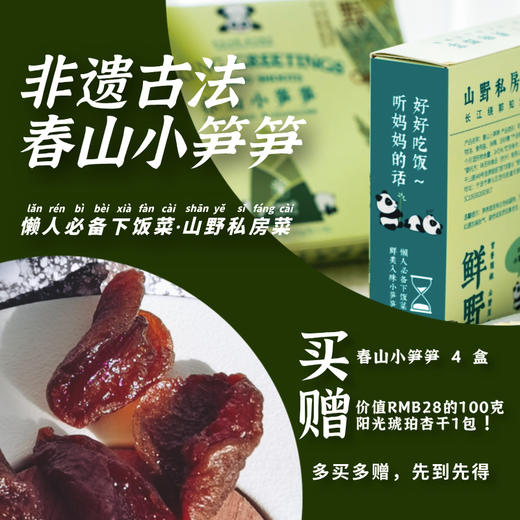 沈爷的宝贝 买四盒送杏干100g 春山小笋笋油焖笋 佐餐开胃即食包邮 商品图0