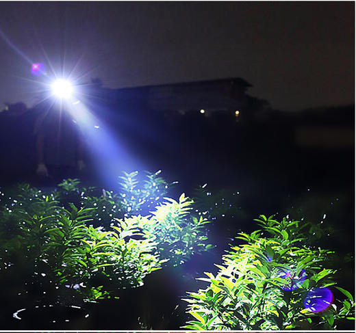 【特价39】skywolfeye/LED三光源感应头灯 户外运动夜骑钓鱼多功能Type-C充电小头灯 商品图5