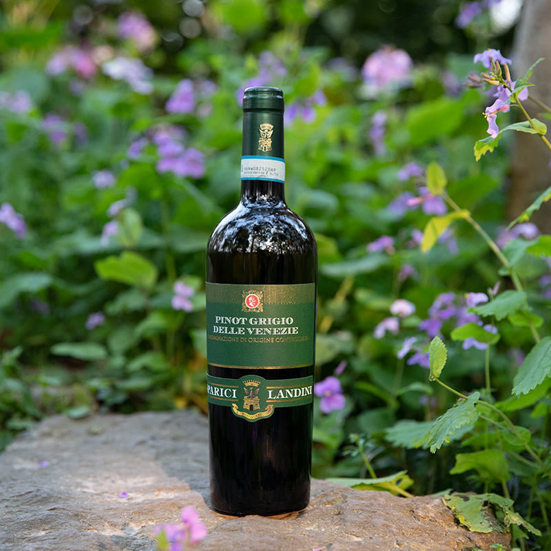 意大利兰蒂尼灰皮诺干白葡萄酒