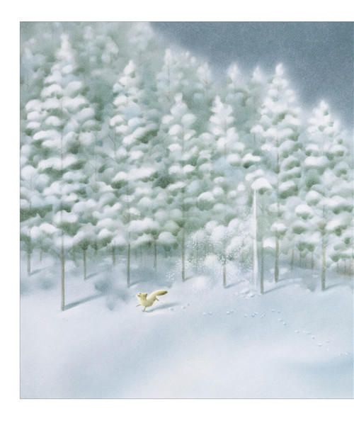 小狐狸阿权（2018版）+小狐狸买手套（2018版） 2册 商品图1