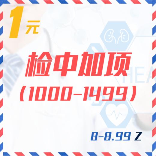检中加项（1000-1499  8-8.99Z） 商品图0