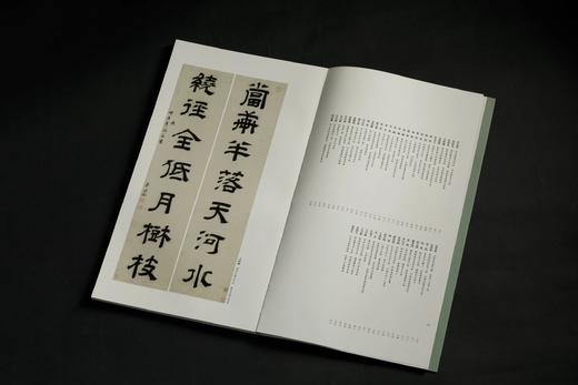 楹联书法大系：篆书楹联书法、隶书楹联书法、楷书楹联书法 商品图10