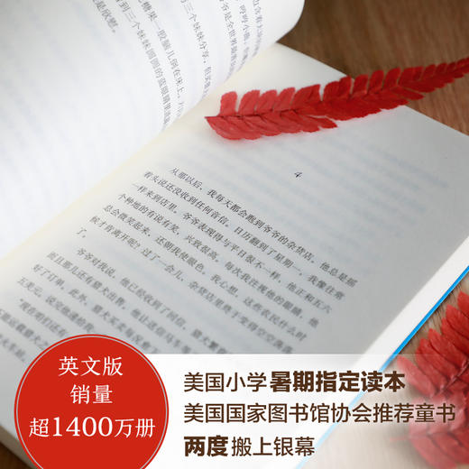 红色羊齿草的故乡 商品图2