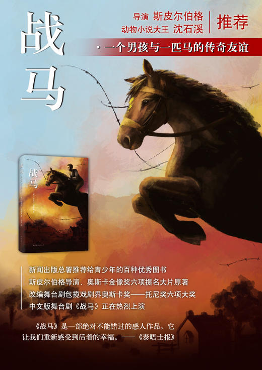 战马  一个男孩与一匹马的传奇友谊！ 商品图2