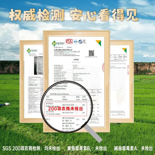 【2025年秋收】谦益香畴石板米1斤/5斤 牡丹江火山岩稻田 自然农耕 口感香甜软弹有回甘  冷饭不回生  宝宝爱吃饭 妈妈不操心 商品图4