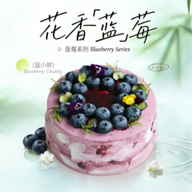 新蓝小胖(一款“惊艳”的巧克力蓝莓蛋糕）