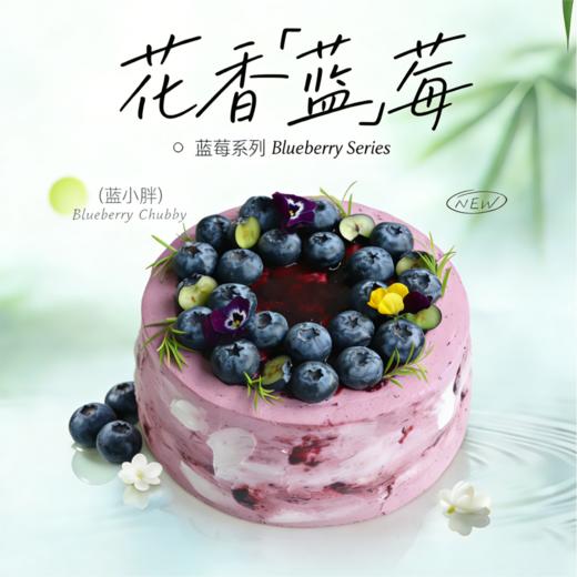 新蓝小胖(一款“惊艳”的巧克力蓝莓蛋糕） 商品图0