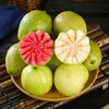 【红白芭乐双拼-送酸梅粉】软心番石榴 新鲜水果 低糖轻卡 商品缩略图2