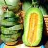 『山东羊角蜜瓜』博洋酥7号，酥脆香甜，肉瓤肥厚 商品缩略图14