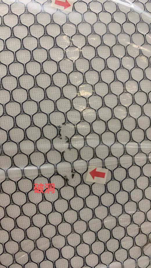 VP922152292063 博洋家纺 学生宿舍专用床垫家用四季保护垫床褥榻榻米垫褥子床铺盖可折叠【5CM 180*200cm】 商品图8