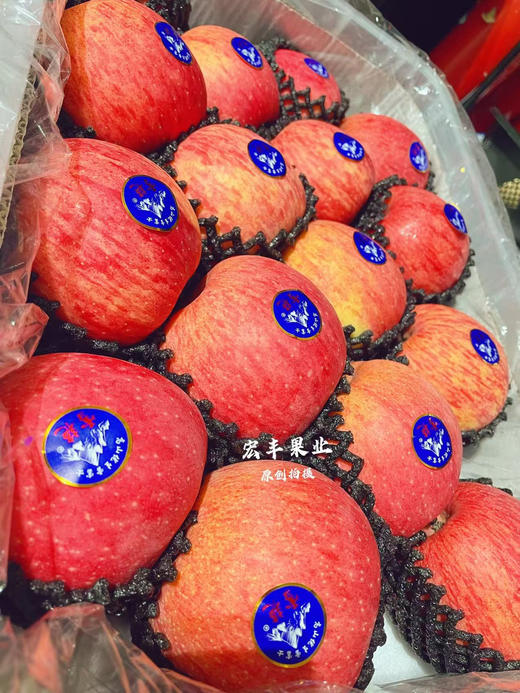 【宏丰精选】灵宝雪艳苹果，皮薄脆甜，纯甜苹果 活动价12.8元一斤 商品图5