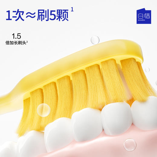 ☆Ecoobix 白惜软毛长头牙刷/Z字牙刷2/4支装（赠25g牙膏*2+漱口水12ml*8） 商品图1