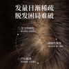 【头皮精华液】敬颜棠 · 虫草头皮精华液修护头皮焕活毛囊天然草本萃取精华 商品缩略图1