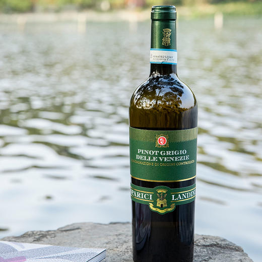 意大利兰蒂尼灰皮诺干白葡萄酒 商品图1