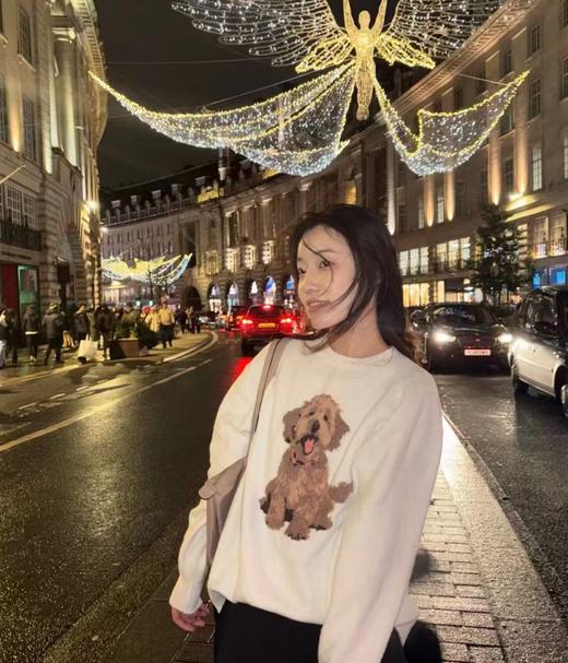 F032041春季新款男女同款提花金毛小狗圆领针织长袖毛衣 商品图11