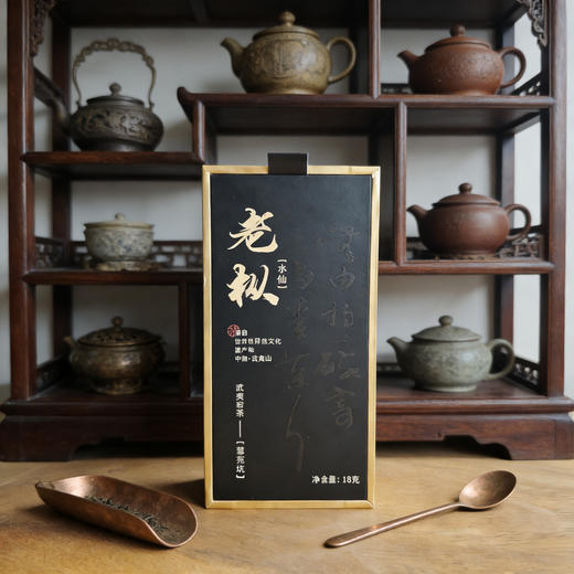 隐岭·慧苑老枞水仙18g单盒 商品图4