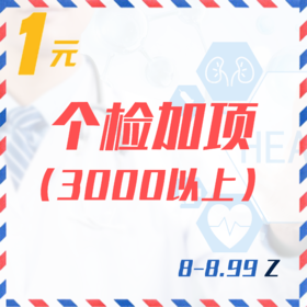 个检加项（3000以上 8-8.99Z）