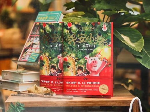【爱心树】J·K罗琳  平安小猪：“哈利·波特”后全新长篇小说 商品图5