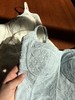 PIANAI冷小姐#  自带胸垫蕾丝美背吊带 商品缩略图3