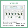 天安门邮局 T75西周青铜器邮票国评鉴定 商品缩略图2