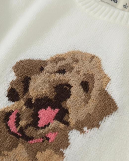 F032041春季新款男女同款提花金毛小狗圆领针织长袖毛衣 商品图3