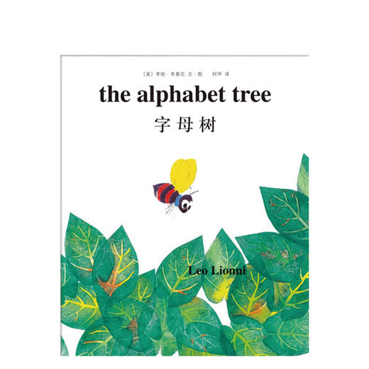 字母树（2017版） 商品图4