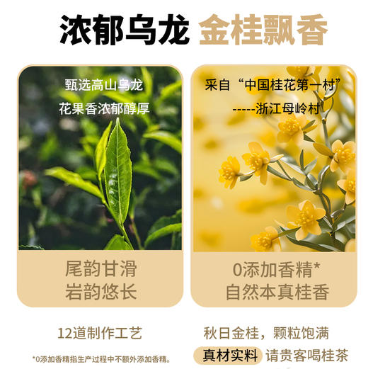 神探伍伍金桂乌龙豆乳茶/茉莉龙井豆乳茶天奶茶0蔗糖添加下午茶早餐休闲200g/盒 商品图1